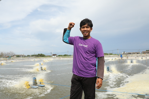 Cara Menjaga Kualitas Air Tambak Udang Vaname Agar Tetap Optimal