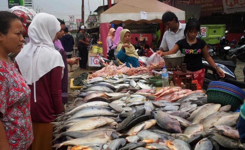 8 Rekomendasi Pasar Ikan Segar Di Jakarta DELOS Aqua