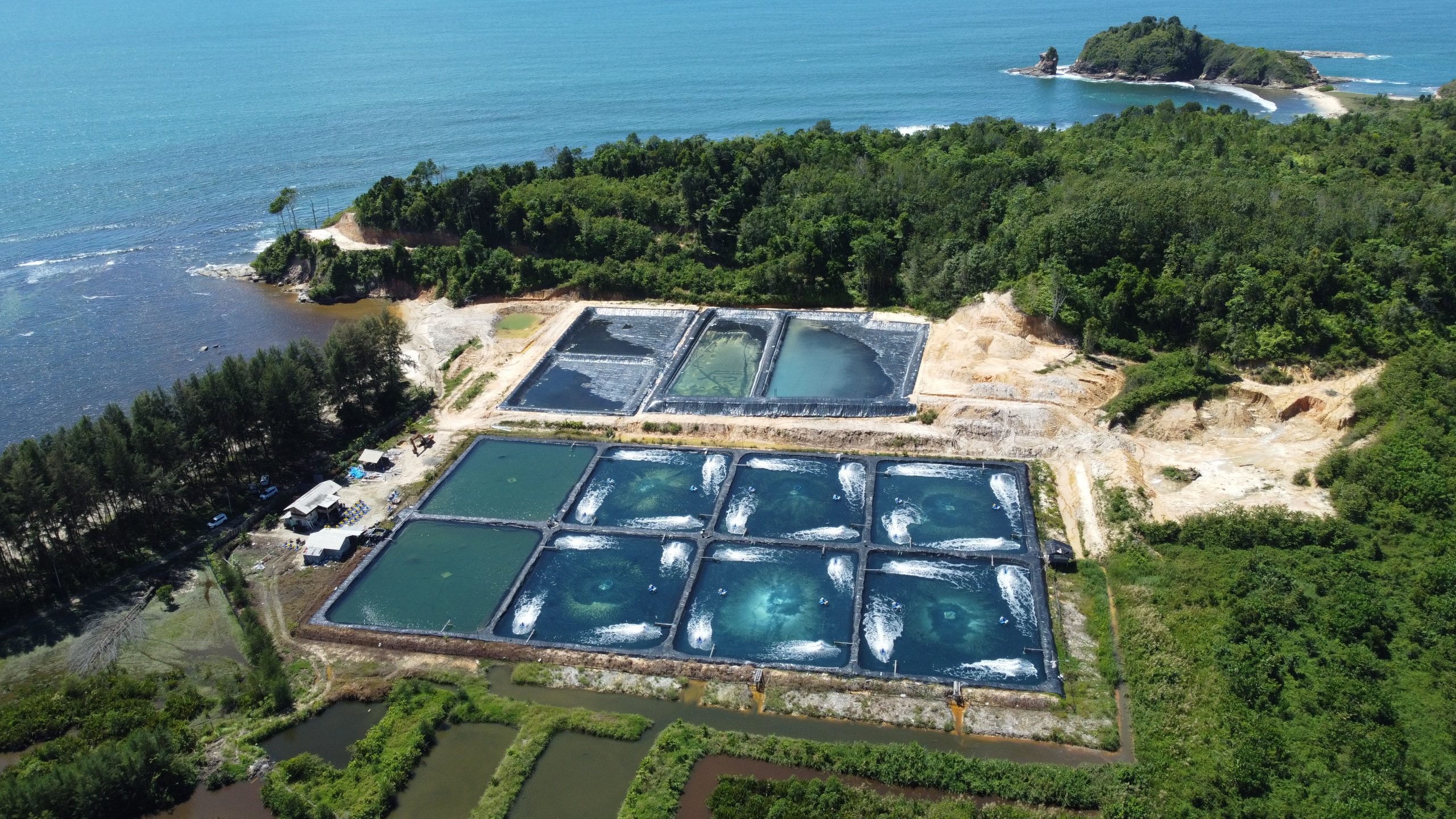 Aquaculture 2 mod. Аквакультура. Центр развития аквакультуры стенд. Aquaculture. Aquaculture perspectives.