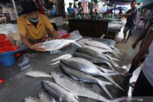 Glodok Fresh Fish Market in Jakarta