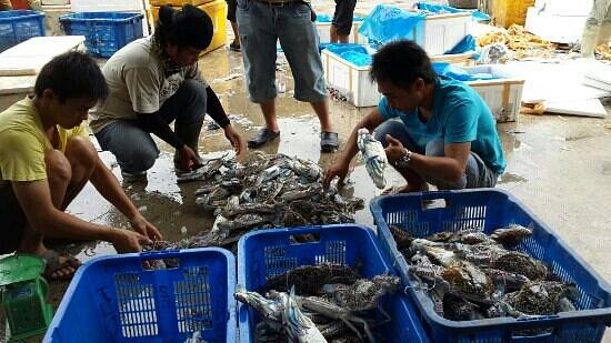 8 Must-Visit Fresh Fish Markets in Jakarta - DELOS Aqua